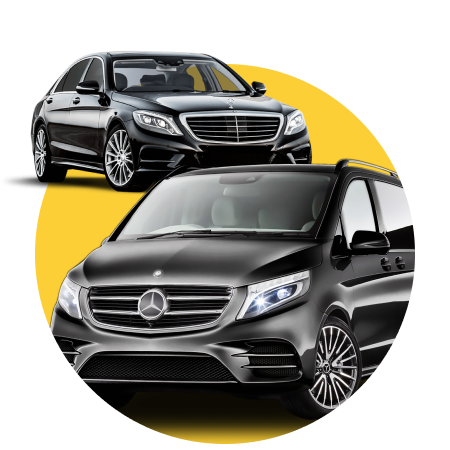 Individual trips with a driver